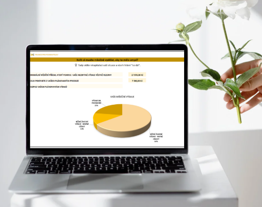 Šablona - Kolik si musím vydělat