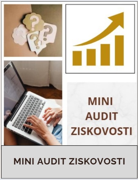 Mini audit ziskovosti