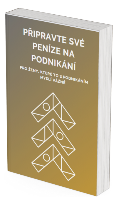Průvodce Připravte své peníze na podnikání