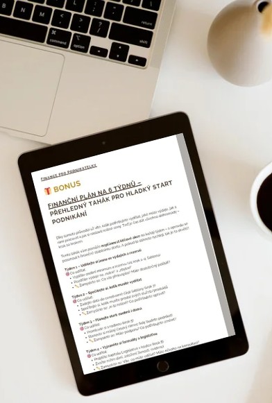 Průvodce Připravte své peníze na podnikání