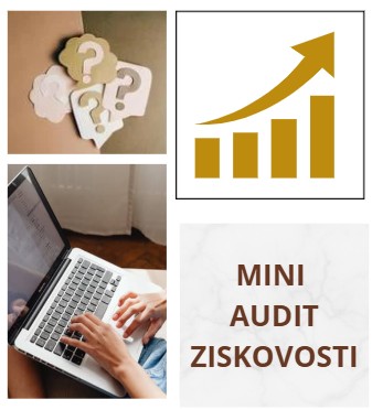 Sešit - Miniaudit ziskovosti
