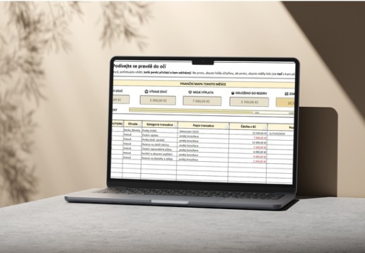 Pořádek v podnikání