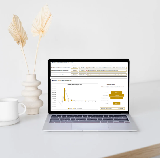 Pořádek v podnikání