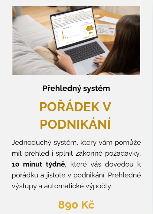 Pořádek v podnikání