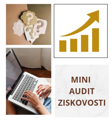 Ilustrace - taháku - Miniaudit ziskovosti