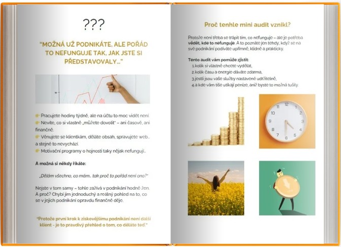 Ilustrace taháku Miniaudit ziskovosti