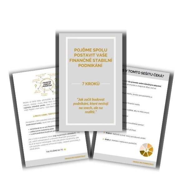 Pracovní sešit - 7 kroků k podnikání