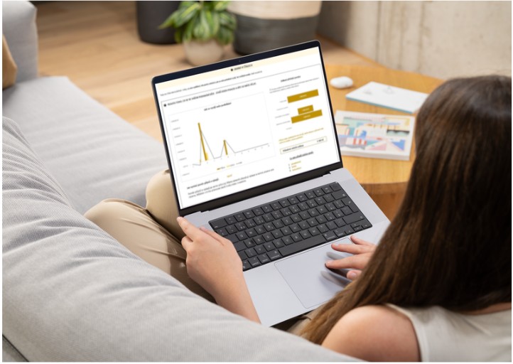 Jednoduchý systém – Přehled v podnikání