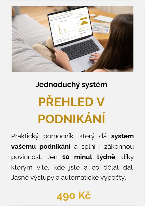 Jednoduchý systém – Přehled v podnikání