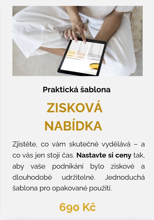 Šablona - Zisková nabídka