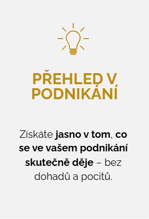 Přehled v podnikání