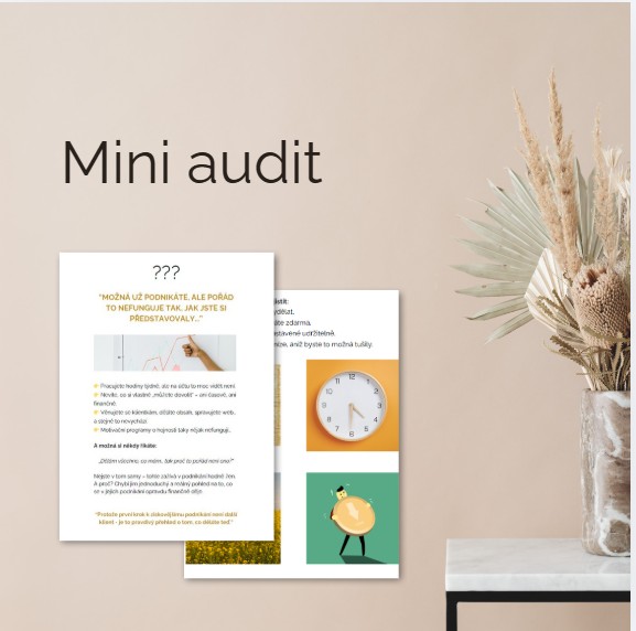 Sešit - Miniaudit ziskovosti