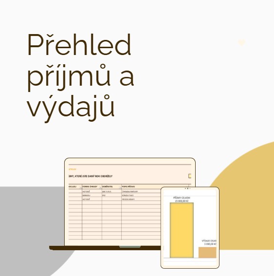 Šablona - Přehled příjmů a výdajů