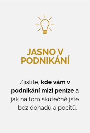 Přehled v podnikání