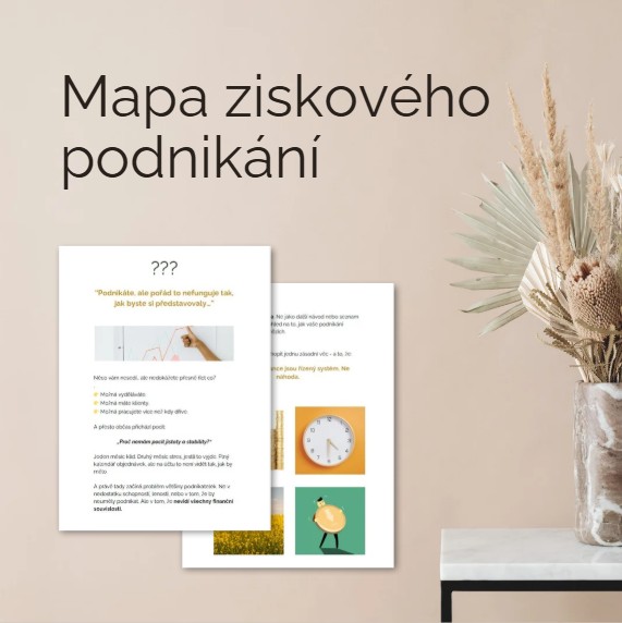 Mapa ziskového podnikání